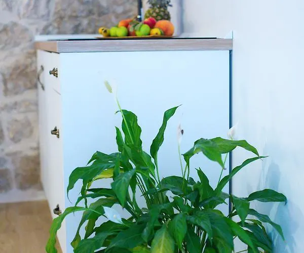 Mana Centre Daire Split